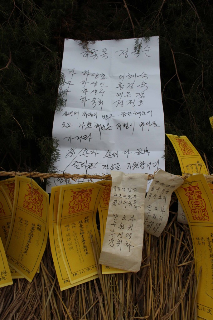 달집놀이1 소원